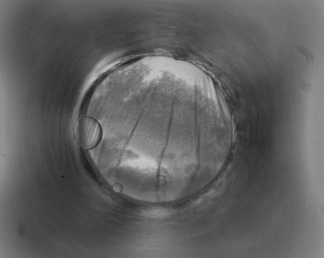 X0000116020198200912312159