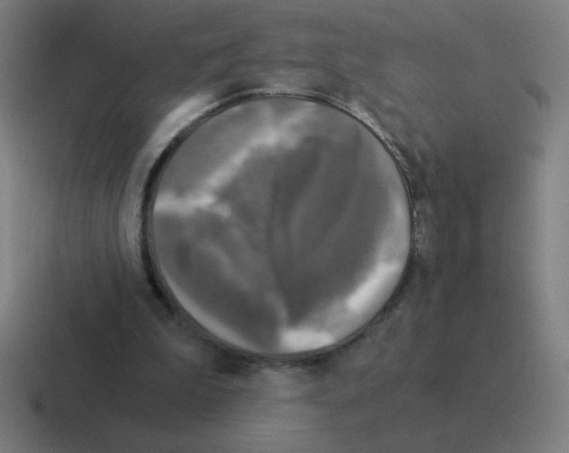 X0000116020199200912312159