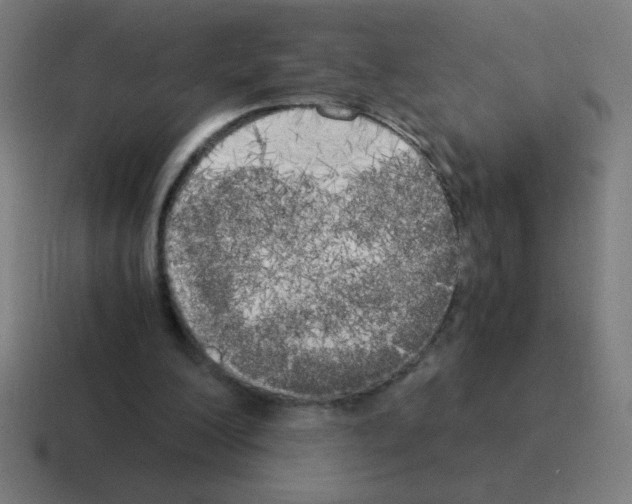 X0000116020200200912312159