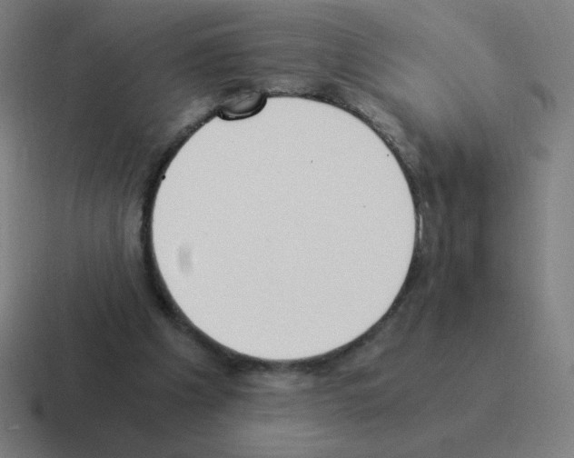 X0000116020201200912312159