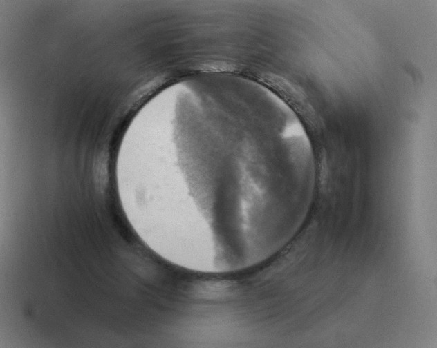 X0000116020202200912312159