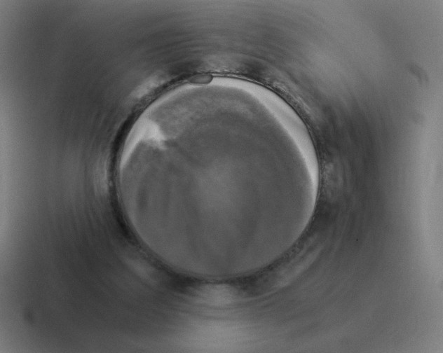 X0000116020203200912312159