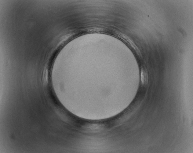 X0000116020205200912312159