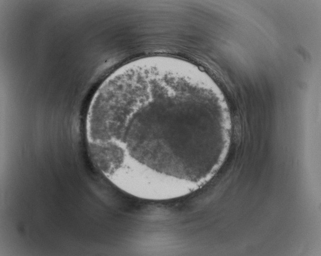 X0000116020207200912312159