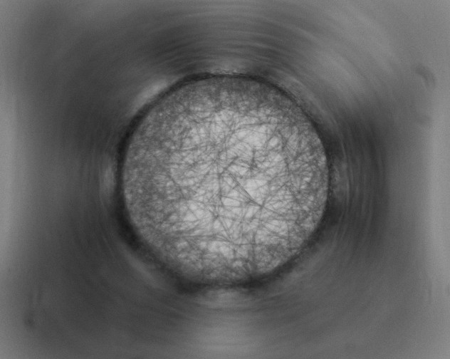 X0000116020208200912312159