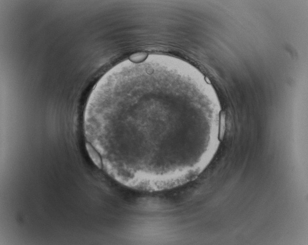 X0000116020211200912312159