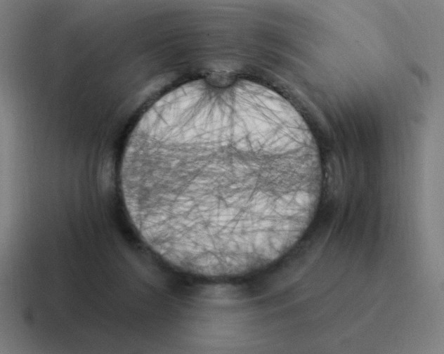 X0000116020212200912312159