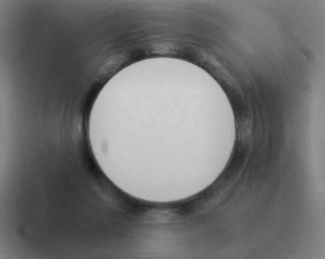 X0000116020213200912312159