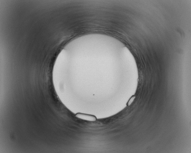 X0000116020215200912312159