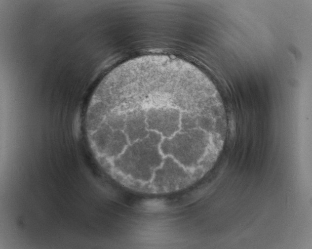 X0000116020216200912312159