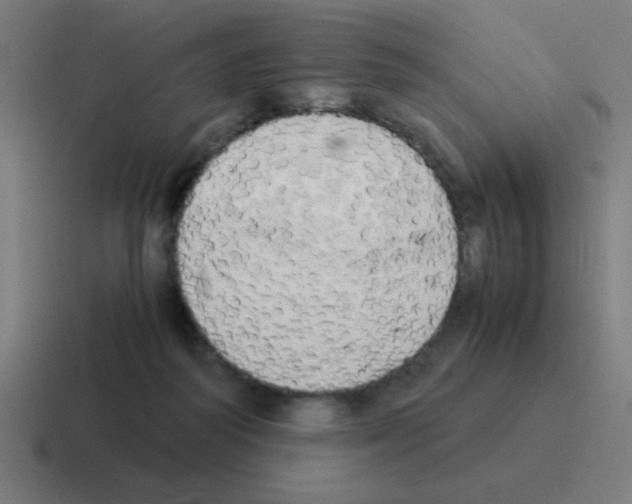 X0000116020218200912312159