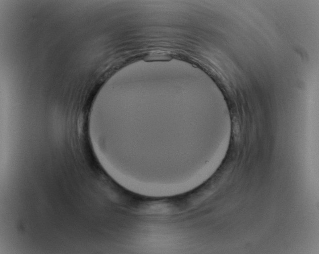 X0000116020219200912312159