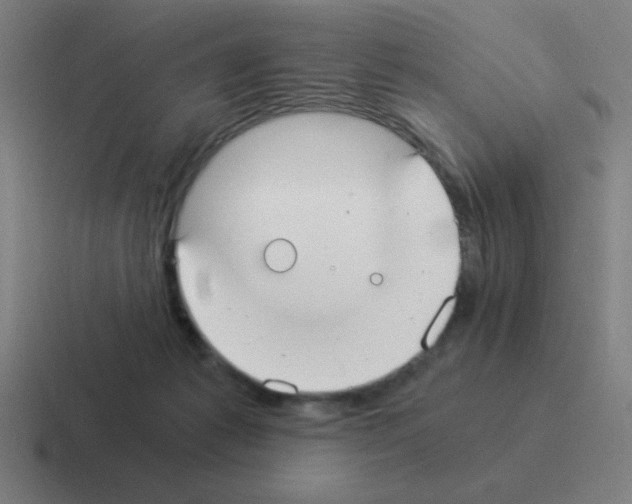 X0000116020221200912312159