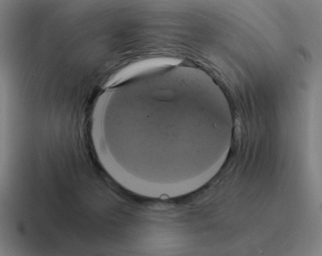 X0000116020223200912312159