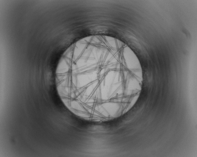 X0000116020224200912312159