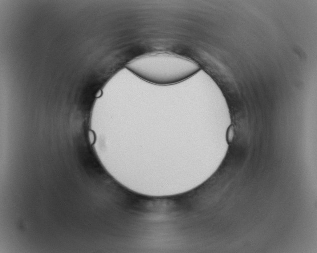 X0000116020225200912312159