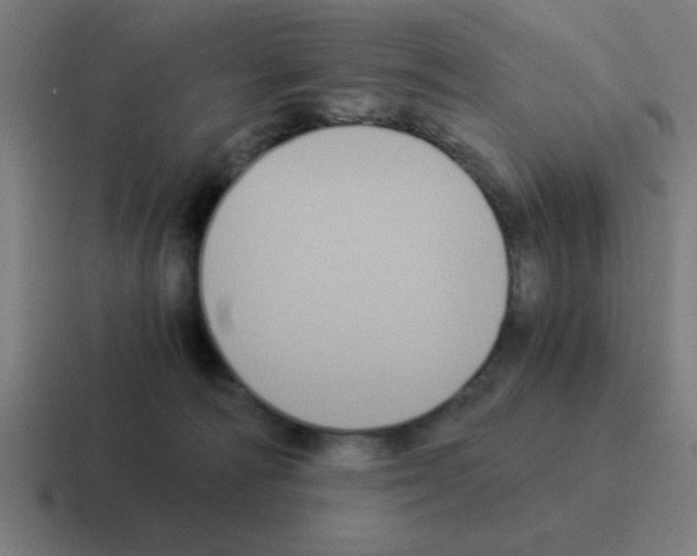 X0000116020226200912312159