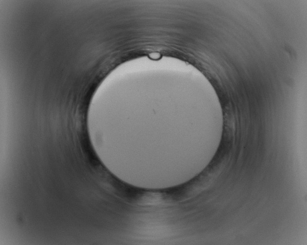 X0000116020227200912312159