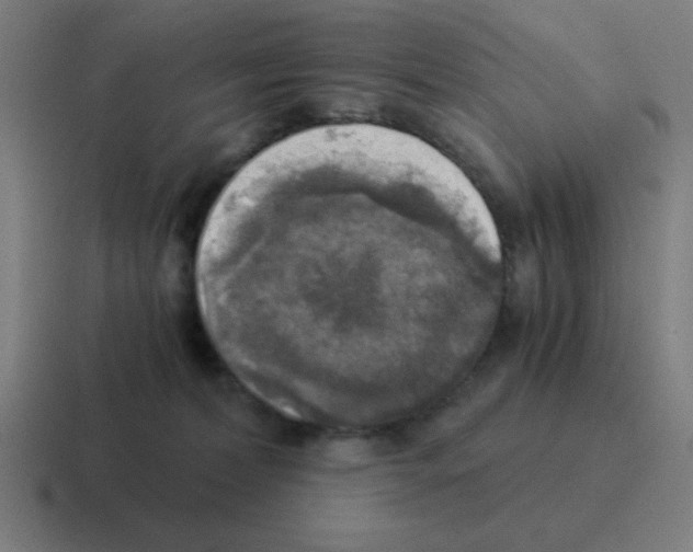 X0000116020228200912312159