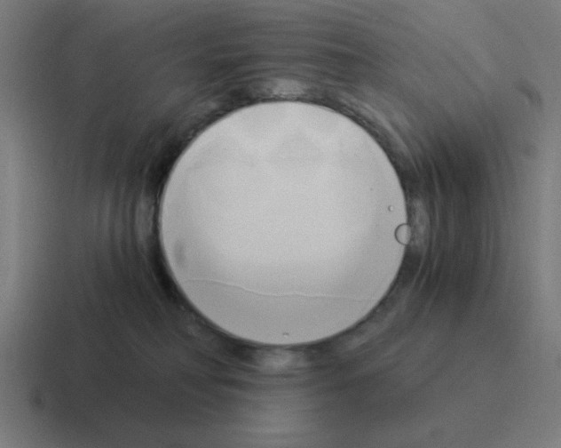 X0000116020230200912312159