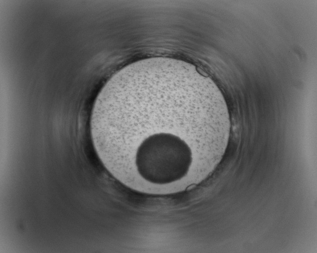 X0000116020231200912312159