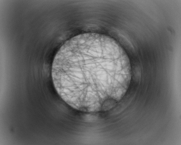 X0000116020232200912312159