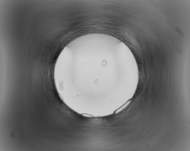 X0000116020233200912312159