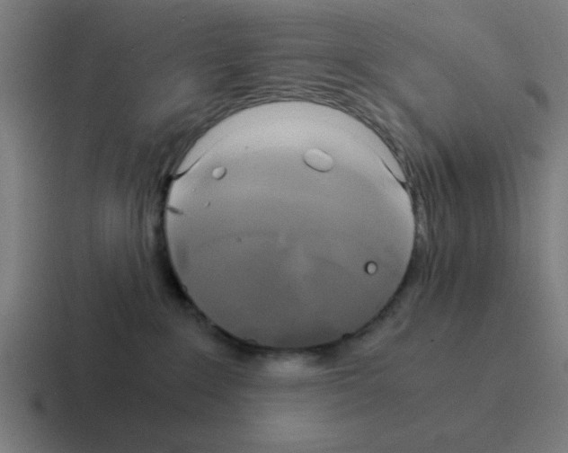 X0000116020235200912312159