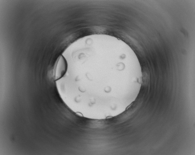 X0000116020238200912312159