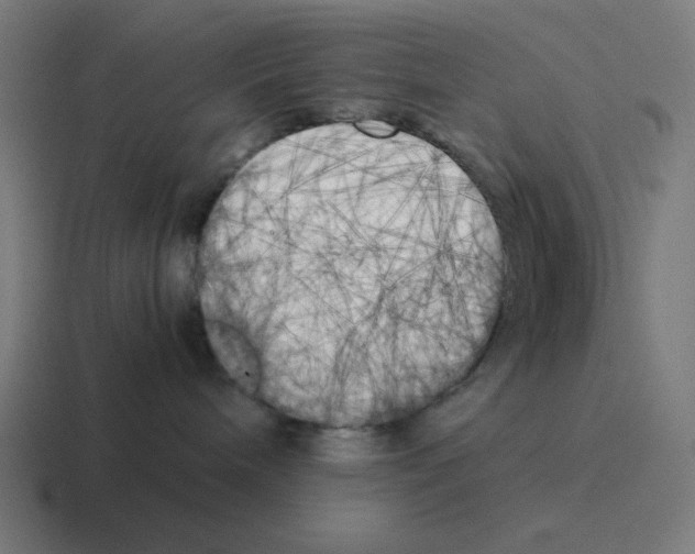 X0000116020240200912312159