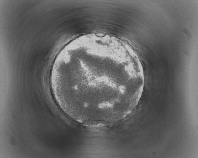 X0000116020241200912312158