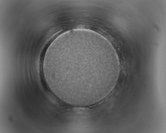 X0000116020242200912312158