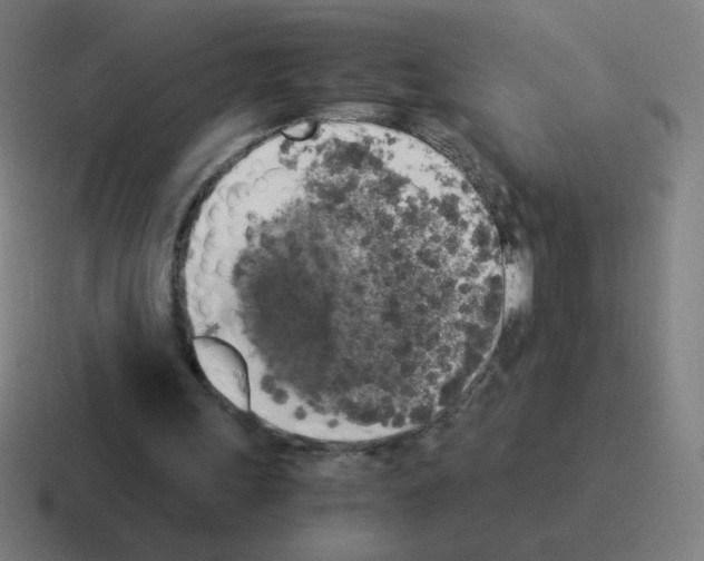 X0000116020243200912312158