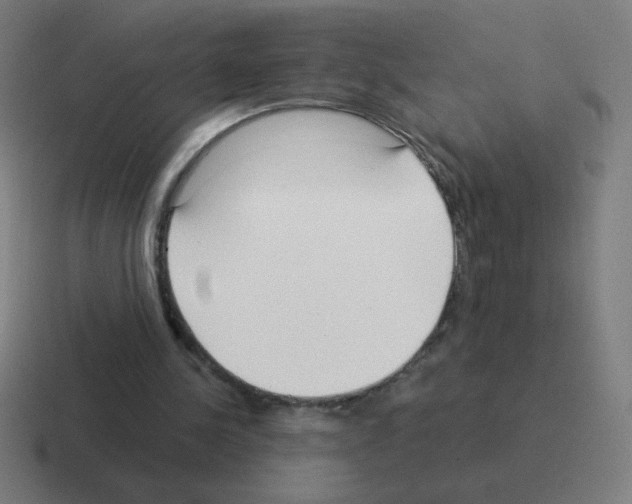 X0000116020244200912312158