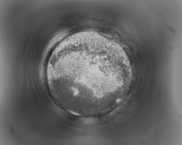 X0000116020245200912312158