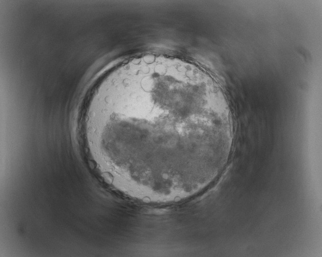 X0000116020247200912312158