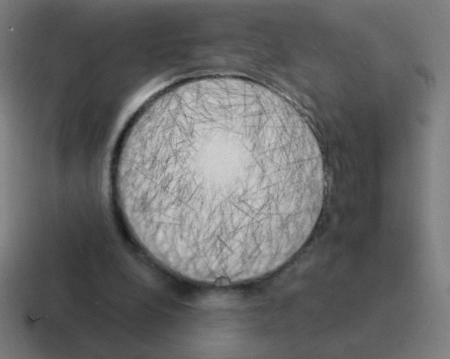 X0000116020248200912312158