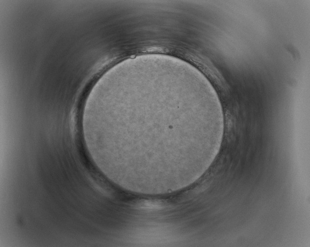 X0000116020250200912312158