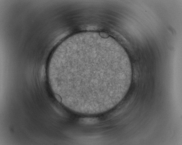 X0000116020251200912312158