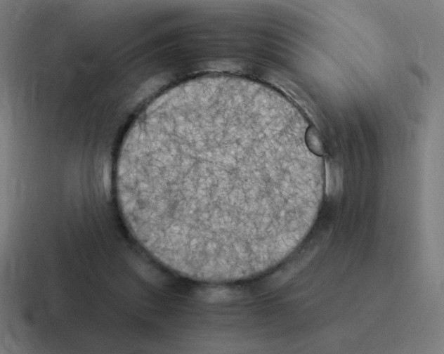 X0000116020253200912312158