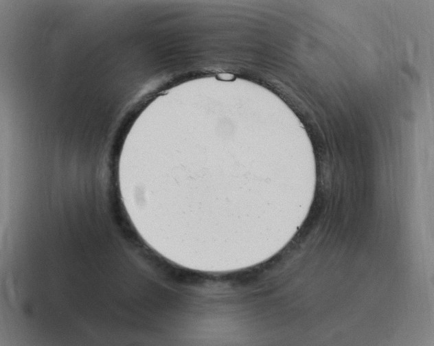 X0000116020256200912312158