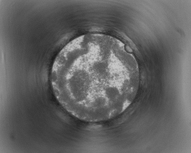 X0000116020257200912312158