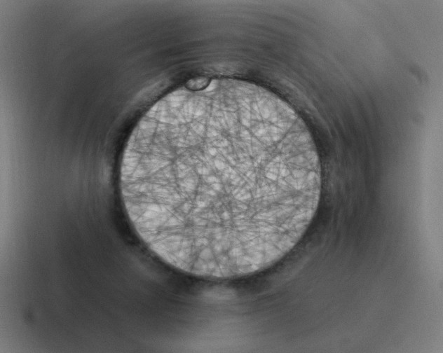 X0000116020258200912312158