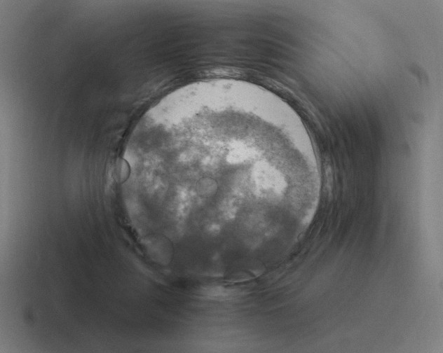 X0000116020259200912312158