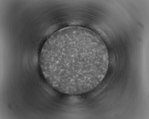 X0000116020261200912312158