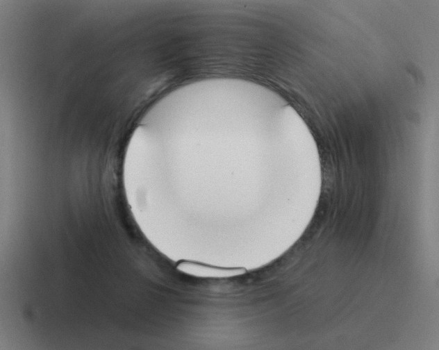 X0000116020264200912312158