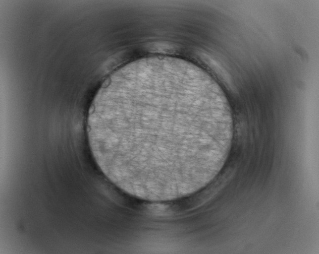 X0000116020265200912312158