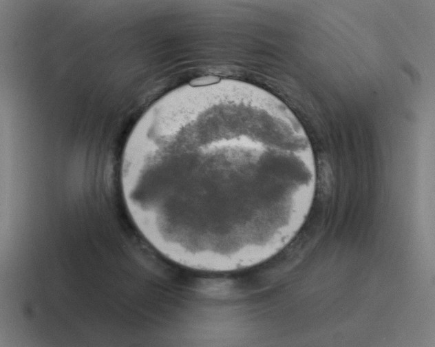 X0000116020266200912312158