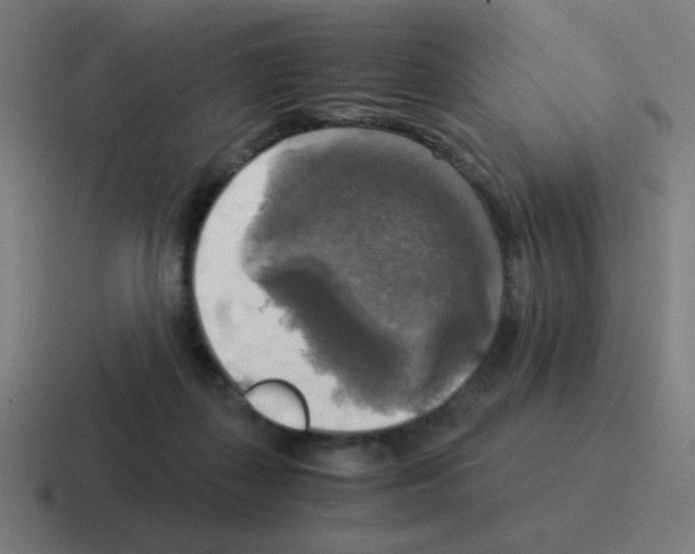 X0000116020267200912312158