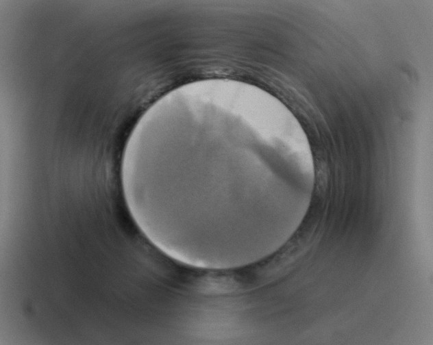 X0000116020270200912312158